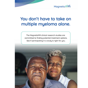 MagnetisMM Program