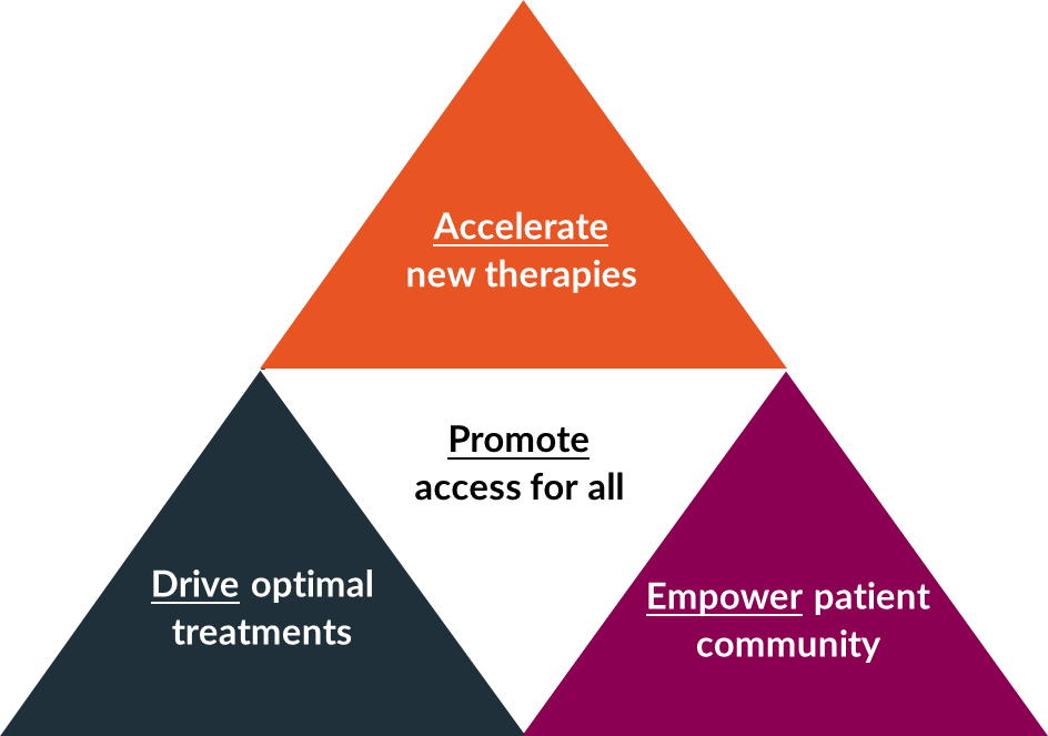 Graphical pyramid displaying the MMRF's strategic objectives